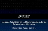 Mejores Prácticas en la Modernización de las Aduanas del Mercosur Montevideo, Agosto de 2011.