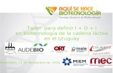 Taller para definir I + D + i en biotecnología de la cadena láctea en el Uruguay Montevideo, 14 de Noviembre de 2014.