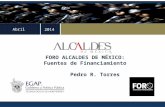 Abril FORO ALCALDES DE MÉXICO: Fuentes de Financiamiento Pedro R. Torres 2014.