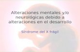 Alteraciones mentales y/o neurológicas debido a alteraciones en el desarrollo Síndrome del X frágil.