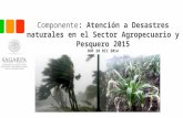 Componente: Atención a Desastres naturales en el Sector Agropecuario y Pesquero 2015 DOF 28 DIC 2014.