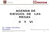 Gobierno del Estado de Aguascalientes 1 AGENDA DE RIESGOS DE LAS MESAS II Y VI Sr. Felipe González González Gobernador Constitucional del Estado de Aguascalientes.