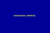 PATOLOGIA GENITAL. EPIDIDIMITIS AGUDA El más común de los procesos inflamatorios intraescrotales En la mayoría de los casos existe compromiso testicular.