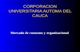 CORPORACION UNIVERSITARIA AUTOMA DEL CAUCA Mercado de consumo y organizacional.