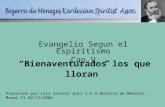 “Bienaventurados los que lloran ” Evangelio Segun el Espiritismo Cap.V Preparado por Luis Salazar para C.E.K.Bezerra de Menezes, Miami Fl 02/12/2006.