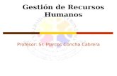 Gestión de Recursos Humanos Profesor: Sr. Marcos Concha Cabrera.