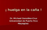 ¡ huelga en la caña ! Dr. Michael González-Cruz Universidad de Puerto Rico Mayagüez.