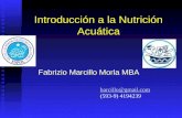 Introducción a la Nutrición Acuática Fabrizio Marcillo Morla MBA barcillo@gmail.com (593-9) 4194239.