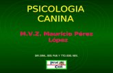 PSICOLOGIA CANINA M.V.Z. Mauricio Pérez López DIR. GRAL. SEG. PUB. Y TTO. EDO. MEX.