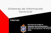 Sistemas de Información Gerencial Internet Prof. José Luis Artigas R. Universidad Nacional Experimental Politécnica de la Fuerza Armada Nacional Centro.