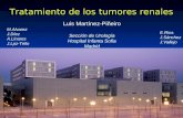 Luis Martínez-Piñeiro Sección de Urología Hospital Infanta Sofia Madrid Tratamiento de los tumores renales M.Alvarez J.Díez A.Linares J.Lpz-Tello E.Ríos.