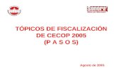 TÓPICOS DE FISCALIZACIÓN DE CECOP 2005 (P A S O S) Agosto de 2005.