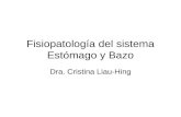 Fisiopatología del sistema Estómago y Bazo Dra. Cristina Liau-Hing.