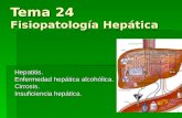 Tema 24 Fisiopatología Hepática Hepatitis. Enfermedad hepática alcohólica. Cirrosis. Insuficiencia hepática.