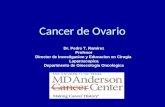 Cancer de Ovario Dr. Pedro T. Ramirez Profesor Director de Investigacion y Educacion en Cirugia Laparoscopica Departmento de Ginecologia Oncologica.
