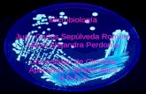 Microbiología Juan Carlos Sepúlveda Romero Maria Alejandra Perdomo Universidad de Ciencias Aplicadas y Ambientales U.D.C.A.