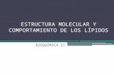 ESTRUCTURA MOLECULAR Y COMPORTAMIENTO DE LOS LÍPIDOS BIOQUÍMICA II.