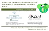 Producción sostenible de Biocombustibles en Colombia: Visión holística y balance actual Bioetanol: Desarrollo tecnológico, Impacto ambiental y social Medellín.