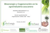 INGENIO PROVIDENCIA S.A. INCAUCA S.A. (Sector agroindustrial Organización Ardila Lülle - OAL) Octubre de 2014 Bioenergía y Cogeneración en la agroindustria.