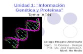 Unidad 1: “Información Genética y Proteínas” Tema: ADN Colegio Hispano Americano Depto. De Ciencias - Biología Prof.: Ma. José Espinoza A. Nivel: 4to Medio.