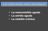 Las infecciones ósteo-articulares La osteomielitis aguda La artritis aguda La osteítis crónica.