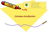 Sistema circulatorio Colegio Santa Sabina Sexto año básico Depto. De Ciencias Prof. Paulette Rivera F.