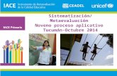 Sistematización/Metaevaluación Noveno proceso aplicativo Tucumán-Octubre 2014.