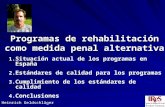 Programas de rehabilitación como medida penal alternativa 1. 1.Situación actual de los programas en España 2. 2.Estándares de calidad para los programas.