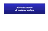 Modelos booleanos de regulación genética Modelos booleanos de regulación genética.