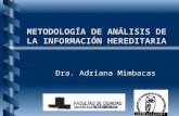 METODOLOGÍA DE ANÁLISIS DE LA INFORMACIÓN HEREDITARIA Dra. Adriana Mimbacas.