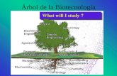 Árbol de la Biotecnología ¿Cuál es la relación entre Biotecnología y la Genética? La Biotecnología moderna considera la aplicación comercial de organismos.