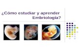 ¿Cómo estudiar y aprender Embriología?. Autoras Dra. Manuela Gilda Bernardo Fuentes. Asistente. Metodóloga. Especialista de primer grado en Embriología.