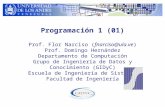 Programación 1 (01) Prof. Flor Narciso (fnarciso@ula.ve) Prof. Domingo Hernández Departamento de Computación Grupo de Ingeniería de Datos y Conocimiento.