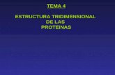 ESTRUCTURA TRIDIMENSIONAL DE LAS PROTEINAS TEMA 4 ESTRUCTURA TRIDIMENSIONAL DE LAS PROTEINAS.