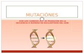 SON LOS CAMBIOS QUE SE PRODUCEN EN LA SECUENCIA O NÚMERO DE NUCLEÓTIDOS DEL ADN MUTACIÓNES.
