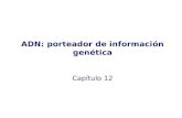 ADN: porteador de información genética Capítulo 12.