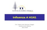 Influenza A H1N1 Dra. María Inés Sánchez Raggio Subdirección Médica Abril 2009.