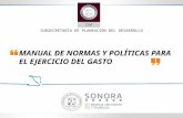 MANUAL DE NORMAS Y POLÍTICAS PARA EL EJERCICIO DEL GASTO SUBSECRETARÍA DE PLANEACIÓN DEL DESARROLLO.