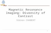 1 Magnetic Resonance Imaging: Diversity of Contrast Stéren CHABERT.
