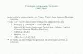 Fisiología comparada; Nutrición CRÉDITOS Autoría de la presentación en Power Point: Juan Ignacio Noriega Iglesias Texto (con modificaciones) e imágenes.