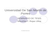 Dra. Milushka Rojas Ulloa Universidad De San Martín de Porres SEMINARIO DE TESIS Milushka F. Rojas Ulloa.