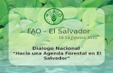 Diálogo Nacional “Hacia una Agenda Forestal en El Salvador” FAO - El Salvador 18-19 Febrero 2010.