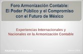 Experiencias Internacionales y Nacionales en la Armonización Contable Alejandro Luna Rodríguez Marzo 2009.