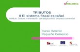 TRIBUTOS II El sistema fiscal español Módulo: Cultura y orientación estratégica de la empresa comercial Curso Gerente Pequeño Comercio.