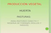 PRODUCCIÓN VEGETAL HUERTA PASTURAS: -PARA PASTOREO DIRECTO Y RESERVA DE FORRAJES (ROLLOS Y FARDOS)