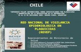 RED NACIONAL DE VIGILANCIA EPIDEMIOLOGICA EN PLAGUICIDAS (REVEP) Representantes de Ministerio de Salud Dra.Clelia Vallebuona S. Encargada de REVEP, Dpto.