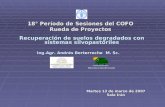 18° Período de Sesiones del COFO Rueda de Proyectos Recuperación de suelos degradados con sistemas silvopastoriles Ing.Agr. Andrés Berterreche M. Sc. Martes.