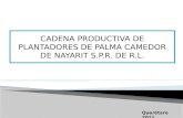 CADENA PRODUCTIVA DE PLANTADORES DE PALMA CAMEDOR DE NAYARIT S.P.R. DE R.L. Querétaro 2011.