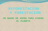 UN GRANO DE ARENA PARA AYUDAR AL PLANETA. La reforestación y forestación con fines de contribuir con el calentamiento climático, por eso hoy estamos llamados.