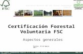 Certificación Forestal Voluntaria FSC Aspectos generales Iniciativa Nacional del FSC –Forest Stewardship Council- FSC Forest Stewardship Council, A.C.